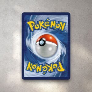Pokémon Back RUG